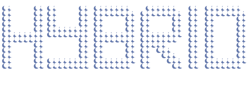 Hybrid Animation